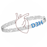 D3H logo